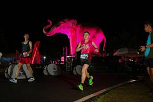 BIB: 
                            <button type="button" onclick="openModal(26543411)" class="btn btn-primary btn-sm float-right btn-popup" data-toggle="modal" data-target=".modal-high-quality">
                        <i class="fas fa-shopping-cart"></i> Add to Cart
                    </button>
                                            <button type="button" onclick="isThisMe(26543411, true)" class="btn btn-success btn-sm float-right btn-popup btn-isme hidden" data-toggle="tooltip" data-placement="bottom" title="นี่คือรูปของคุณใช่ไหม คลิกที่นี่เพื่อเอาเข้าอัลบั้ม">
                        <i class="fas fa-plus"></i> Add to album
                    </button>
                    <button type="button" onclick="isThisMe(26543411, false)" class="btn btn-warning btn-sm float-right btn-popup btn-isnotme hidden">
                        <i class="fas fa-ban"></i> Remove from album
                    </button>